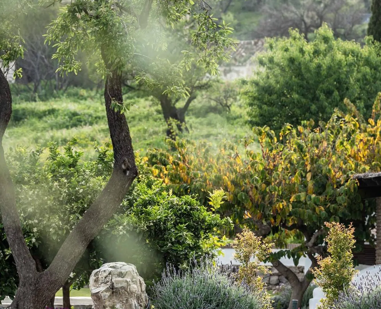 Vila Rentitspain Cortijo Rural Fandango 3 Piscina Y Montanas El Rescate Španělsko